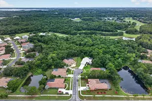 3874 Crescent Cove Pl, Tarpon Springs, FL 34688 - Photo 77