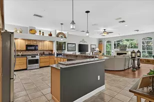 3874 Crescent Cove Pl, Tarpon Springs, FL 34688 - Photo 7