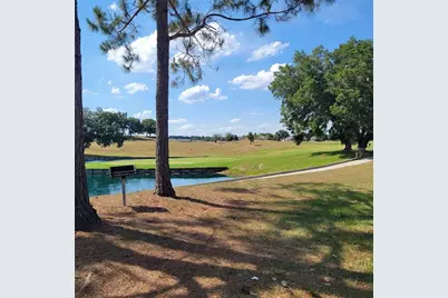 30990 Satinleaf Run, Brooksville, FL 34602 - Photo 35