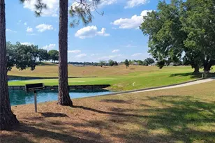 30990 Satinleaf Run, Brooksville, FL 34602 - Photo 35