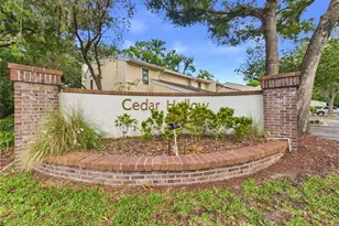 11239 Cedar Hollow Ln, Tampa, FL 33618 - Photo 49