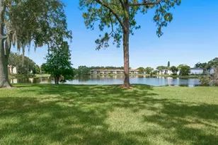 10 Woodlake Pl, Oldsmar, FL 34677 - Photo 37