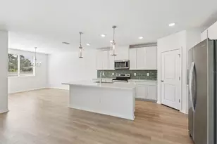 14152 Harvest Pnes Ln, Hudson, FL 34669 - Photo 9