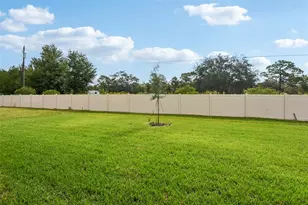 14152 Harvest Pnes Ln, Hudson, FL 34669 - Photo 37
