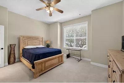 15707 Cochester Road, Tampa, FL 33647 - Photo 67