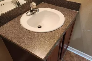 15924 Fishhawk Creek Ln, Lithia, FL 33547 - Photo 9