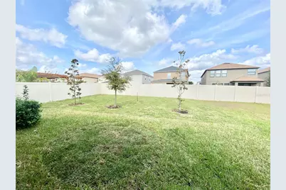 21036 Wistful Yearn Drive, Land O Lakes, FL 34637 - Photo 3