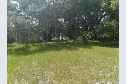 7203 N 41st Street, Tampa, FL 33604 - Photo 3