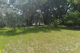 7203 N 41st St, Tampa, FL 33604 - Photo 3