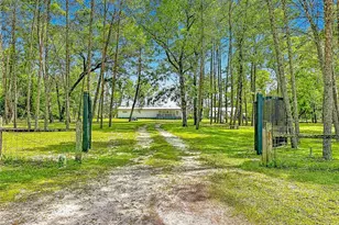 151 Lake Susan Rd, Hawthorne, FL 32640 - Photo 71