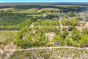 151 Lake Susan Rd, Hawthorne, FL 32640 - Photo 53