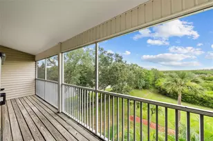 38 Seagrape Cir, Clearwater, FL 33759 - Photo 41