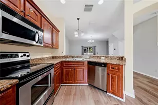 10106 Belleville Pl, Tampa, FL 33624 - Photo 7
