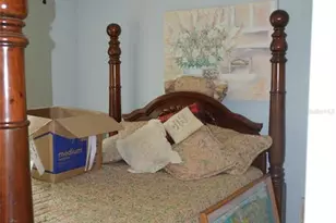 2308 Palm Ave, Seffner, FL 33584 - Photo 5