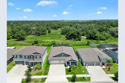 16568 Delia Street, Wimauma, FL 33598 - Photo 35