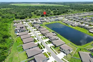 16568 Delia St, Wimauma, FL 33598 - Photo 43