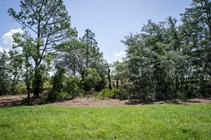 18080 Maberly Rd, Weeki Wachee, FL 34614 - Photo 37