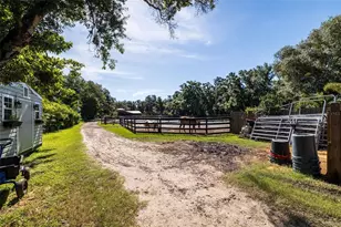 8701 64th St N, Pinellas Park, FL 33782 - Photo 63