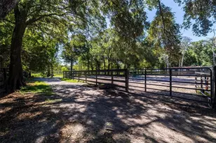 8701 64th St N, Pinellas Park, FL 33782 - Photo 91