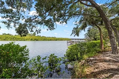 809 Timeless Moss Drive, Ruskin, FL 33570 - Photo 67