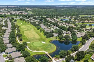 1148 Corinth Greens Dr, Sun City Center, FL 33573 - Photo 43