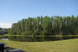 3241 Gianna Way, Land O Lakes, FL 34638 - Photo 21
