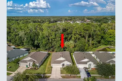 25342 Lexington Oaks Boulevard, Wesley Chapel, FL 33544 - Photo 47