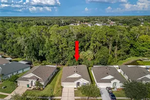 25342 Lexington Oaks Blvd, Wesley Chapel, FL 33544 - Photo 47