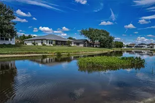 12021 Fern Ter Ct, Trinity, FL 34655 - Photo 45