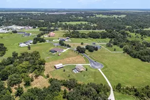 8703 Alafia Hills Dr, Plant City, FL 33567 - Photo 95