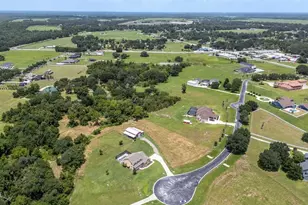 8703 Alafia Hills Dr, Plant City, FL 33567 - Photo 87
