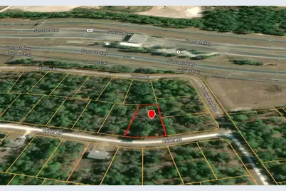 Crider Road, Weeki Wachee, FL 34614 - Photo 3