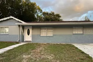 4926 Billy Direct Ln, Lutz, FL 33559 - Photo 3
