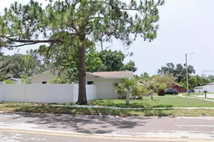 8002 Woodvine Pl, Tampa, FL 33615 - Photo 5