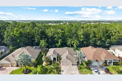 16132 Ivy Lake Drive, Odessa, FL 33556 - Photo 49