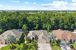 16132 Ivy Lake Dr, Odessa, FL 33556 - Photo 53