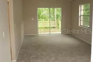 4851 Billy Direct Ln, Lutz, FL 33559 - Photo 3