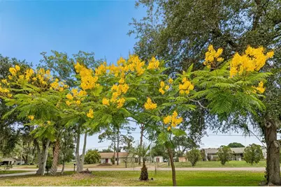 9619 Springbrook Drive, Riverview, FL 33578 - Photo 49