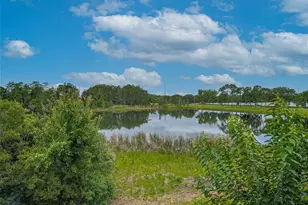10409 Crimson Park Ln, Tampa, FL 33626 - Photo 47