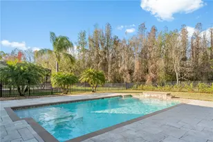 10888 Cory Lake Dr, Tampa, FL 33647 - Photo 45