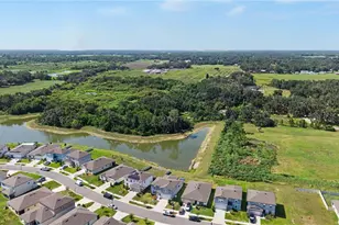 3891 Capri Coast Dr, Plant City, FL 33565 - Photo 53