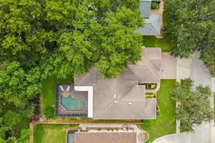 3825 Misty Landing Dr, Valrico, FL 33594 - Photo 69