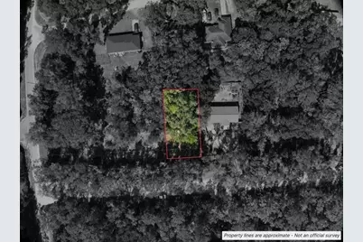Lot #1 St Patrick Drive, Dunnellon, FL 34432 - Photo 1