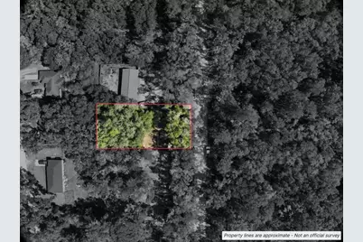 Lot #1 St Patrick Drive, Dunnellon, FL 34432 - Photo 3