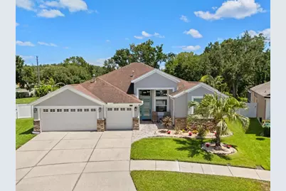 27901 Summer Place Drive, Wesley Chapel, FL 33544 - Photo 1