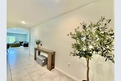 30807 Penny Surf Loop, Wesley Chapel, FL 33545 - Photo 3