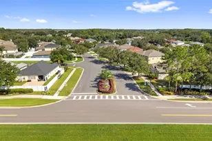 10109 Landport Way, Land O Lakes, FL 34638 - Photo 43