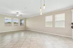 25057 Lambrusco Loop, Lutz, FL 33559 - Photo 21
