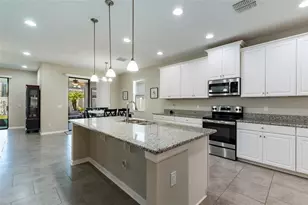 11420 Amapola Bloom Ct, Riverview, FL 33579 - Photo 9