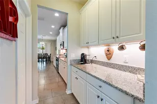 11420 Amapola Bloom Ct, Riverview, FL 33579 - Photo 13